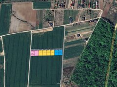 Izvorani, Snagov, loturi de teren la padure,1000 mp