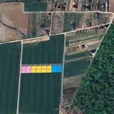 Loturi de teren la padure | 1000mp | Izvorani- Snagov